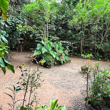 Ella Secret Paradise المظهر الخارجي الصورة