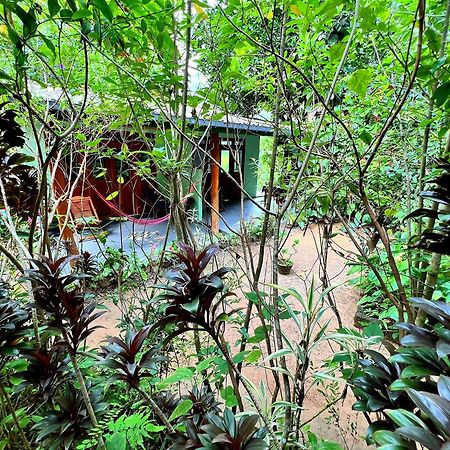 Ella Secret Paradise المظهر الخارجي الصورة