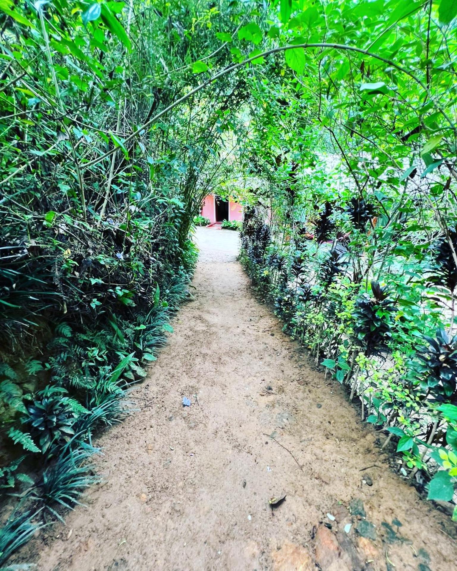 Ella Secret Paradise المظهر الخارجي الصورة